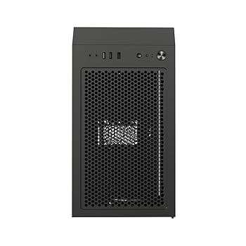 Amazon.com: PcCooler Platinum LM300 ARGB - Micro ATX